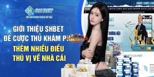 So sánh nhà cái shbet và bk8 mang tới cái nhìn tổng quan